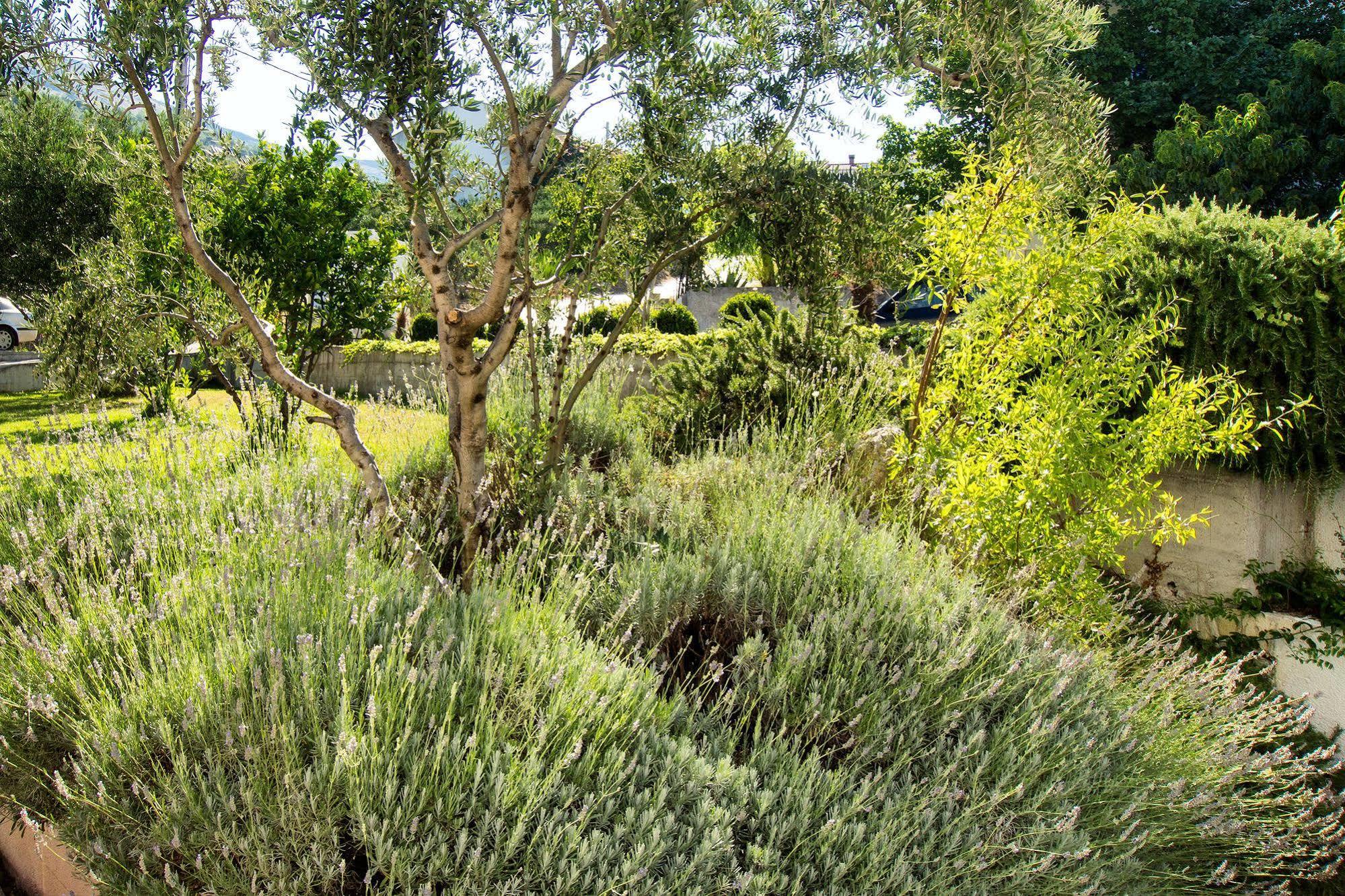 Villa Lavanda بودْسْتغانا المظهر الخارجي الصورة