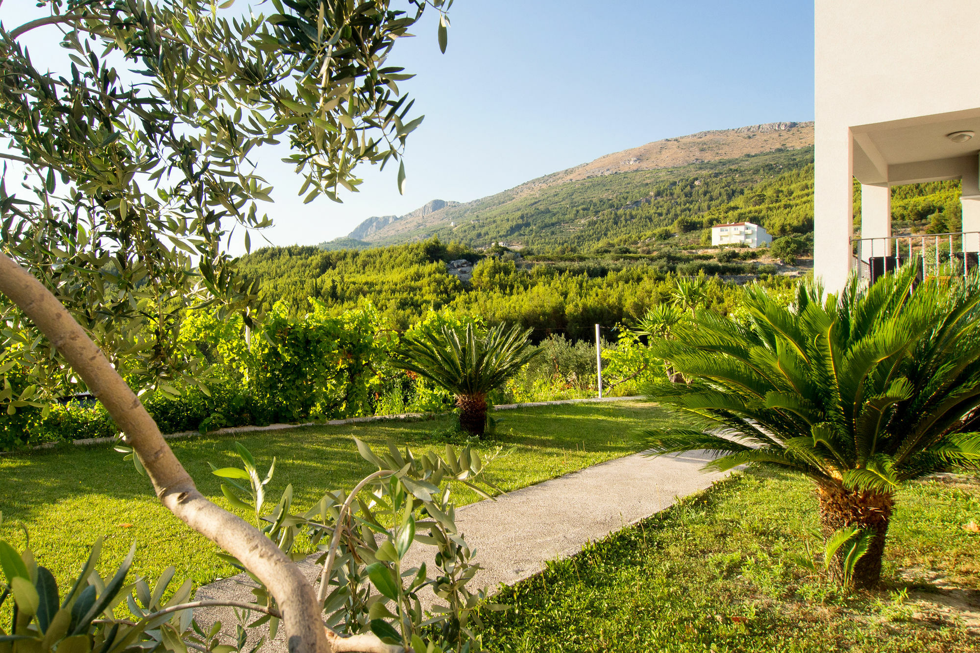 Villa Lavanda بودْسْتغانا المظهر الخارجي الصورة