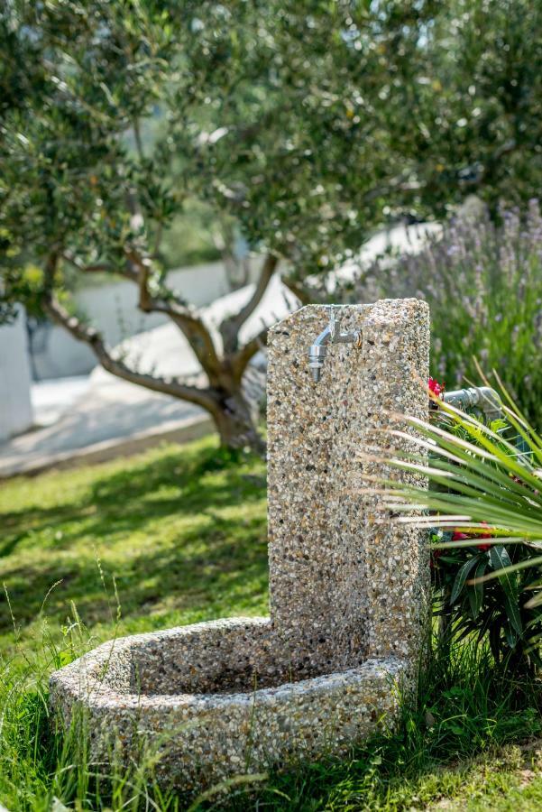 Villa Lavanda بودْسْتغانا المظهر الخارجي الصورة